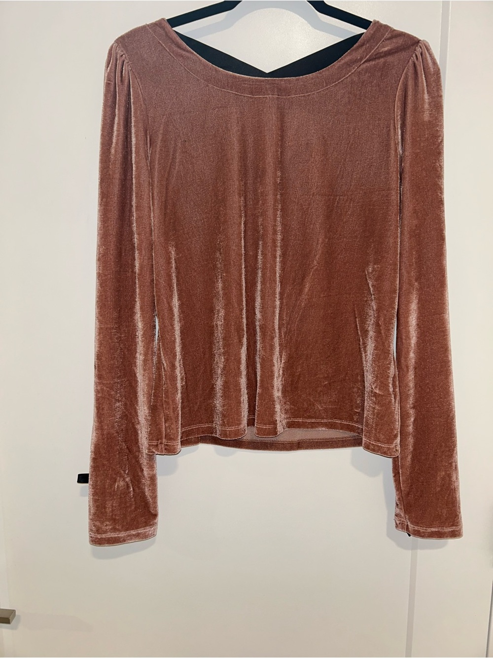 Anthropologie Velvet Long-Sleeve Top in Pink